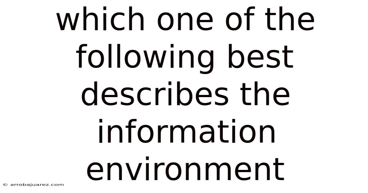 Which One Of The Following Best Describes The Information Environment