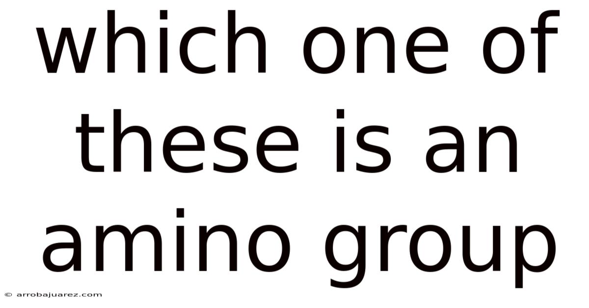 Which One Of These Is An Amino Group