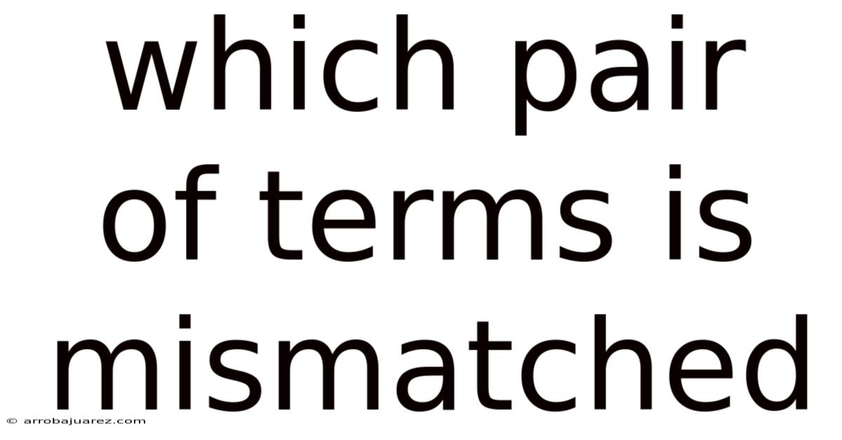 Which Pair Of Terms Is Mismatched