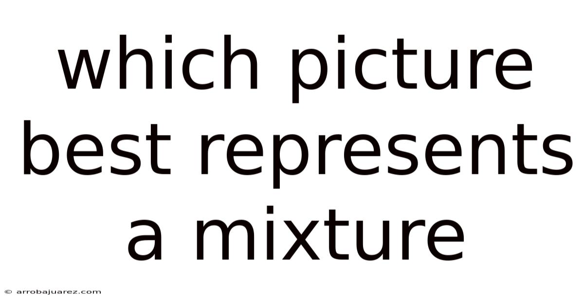 Which Picture Best Represents A Mixture