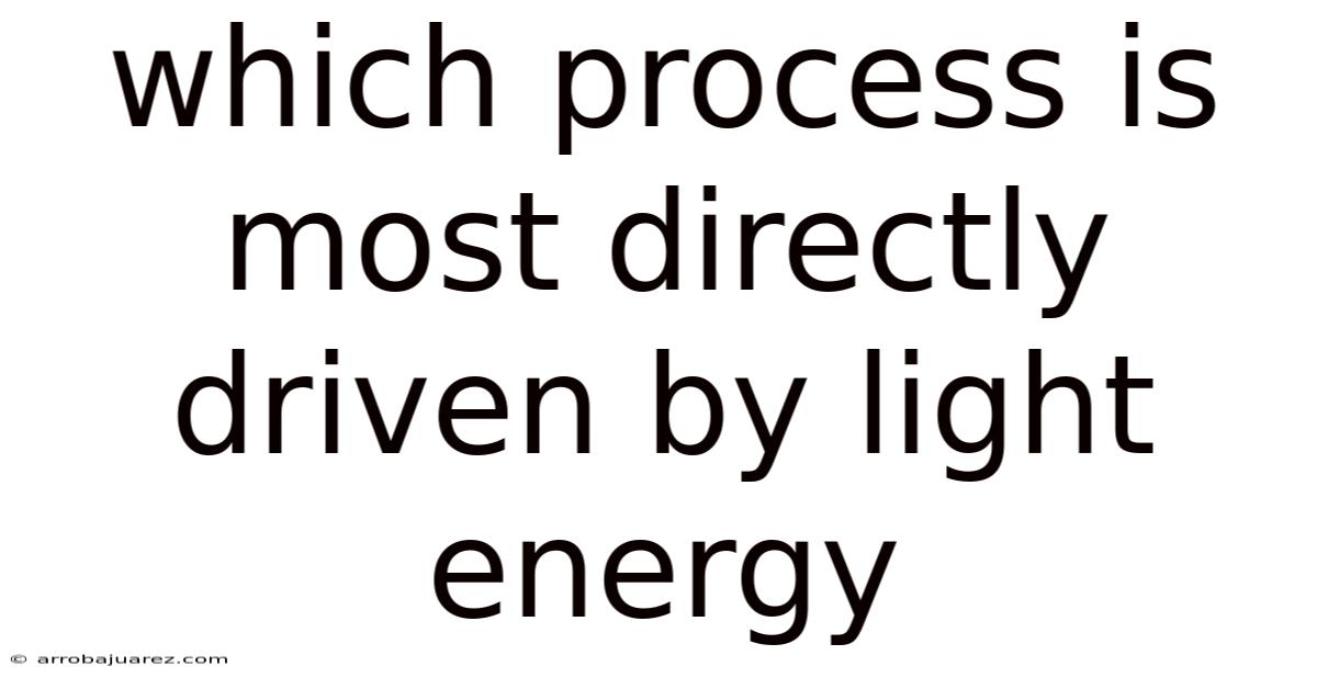 Which Process Is Most Directly Driven By Light Energy