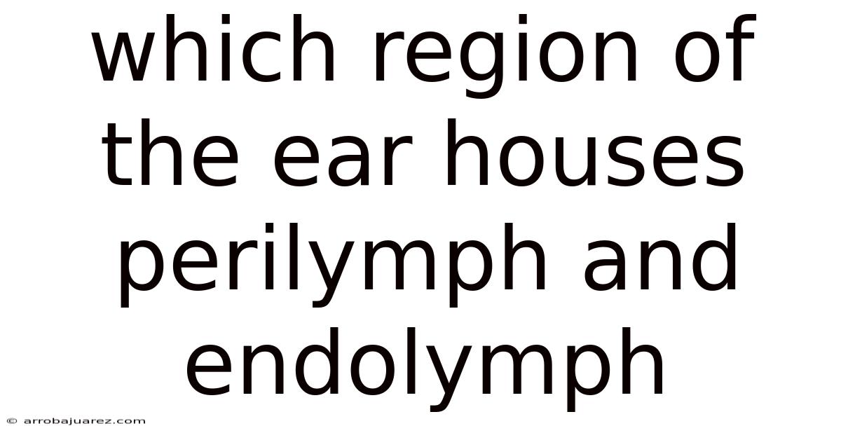 Which Region Of The Ear Houses Perilymph And Endolymph