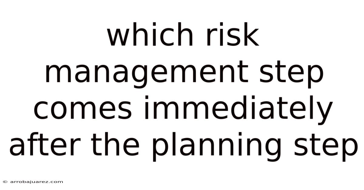 Which Risk Management Step Comes Immediately After The Planning Step