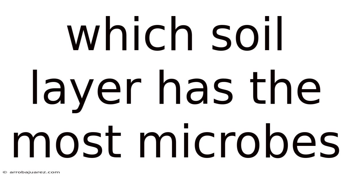 Which Soil Layer Has The Most Microbes