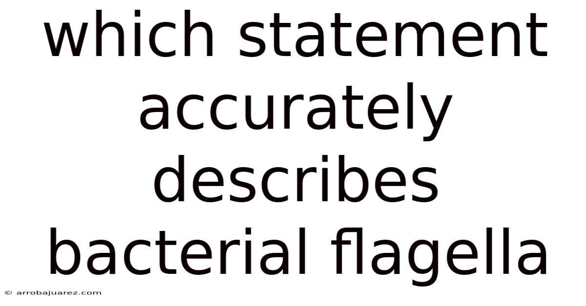 Which Statement Accurately Describes Bacterial Flagella