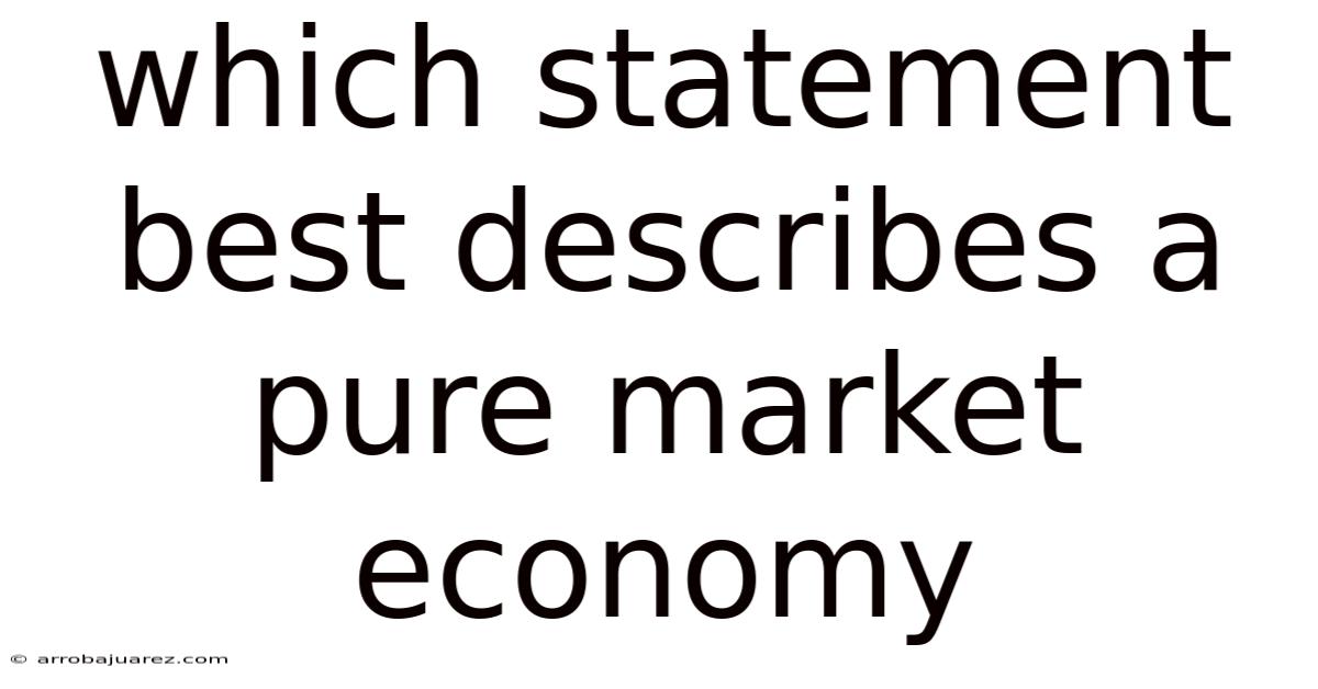 Which Statement Best Describes A Pure Market Economy