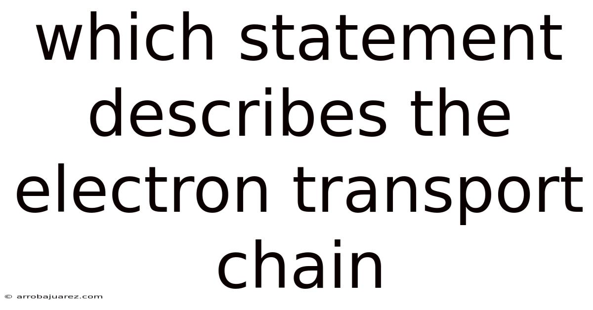 Which Statement Describes The Electron Transport Chain