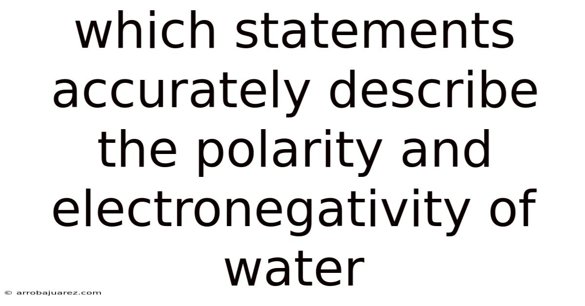 Which Statements Accurately Describe The Polarity And Electronegativity Of Water
