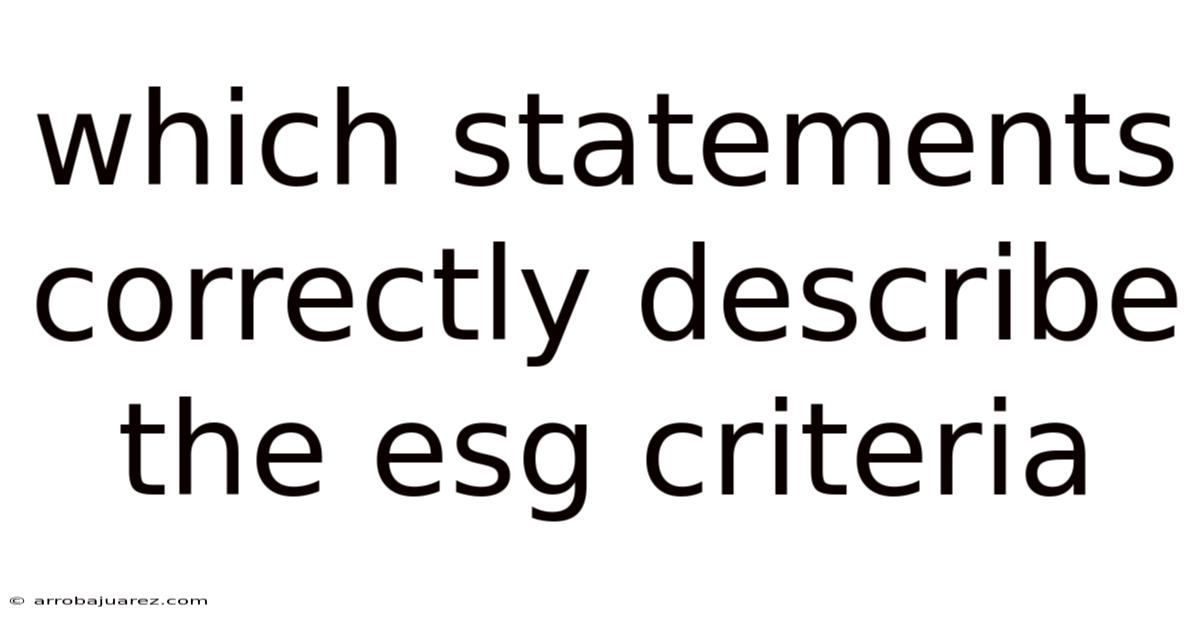 Which Statements Correctly Describe The Esg Criteria