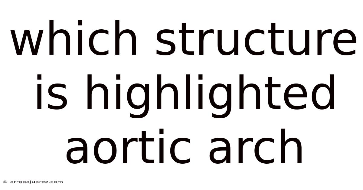 Which Structure Is Highlighted Aortic Arch