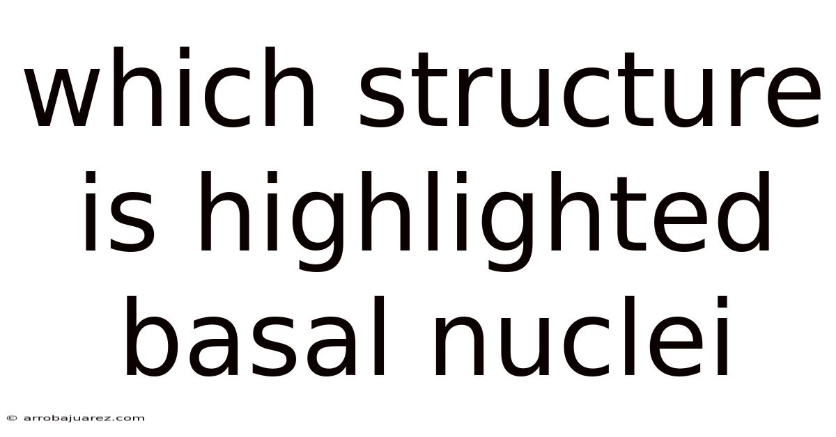 Which Structure Is Highlighted Basal Nuclei