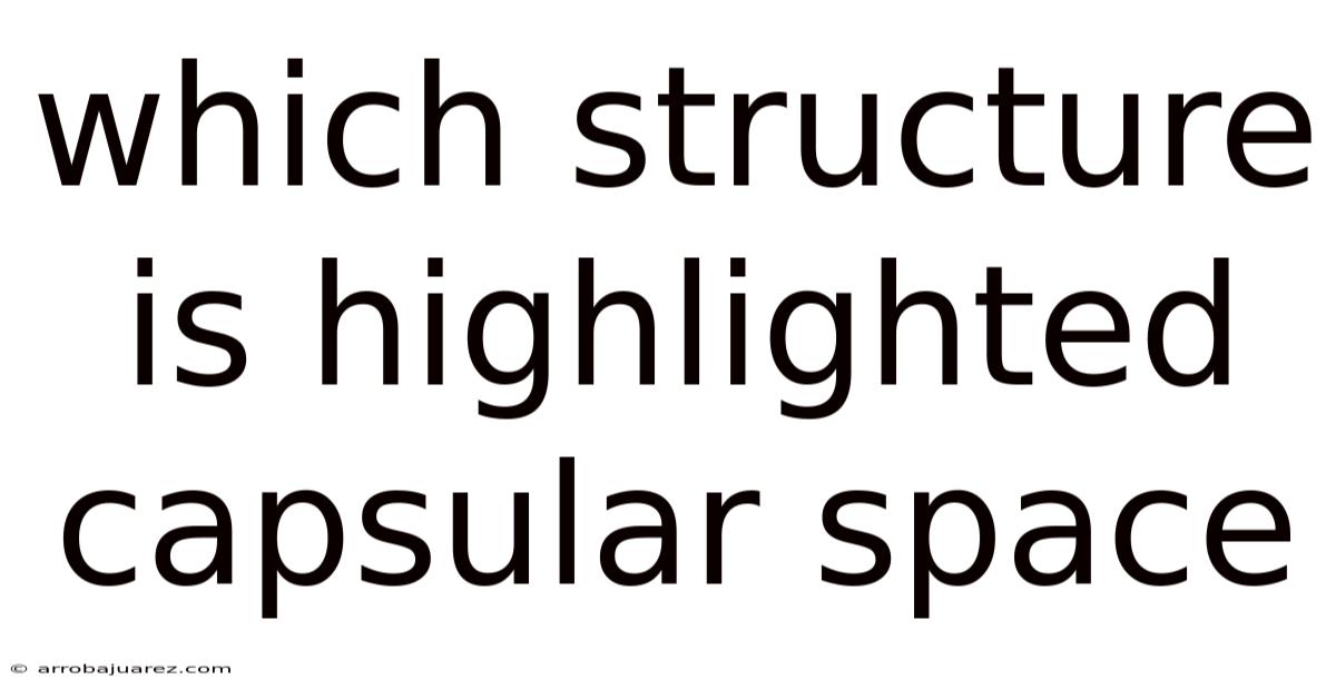 Which Structure Is Highlighted Capsular Space