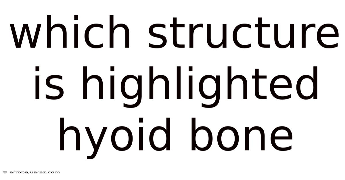 Which Structure Is Highlighted Hyoid Bone