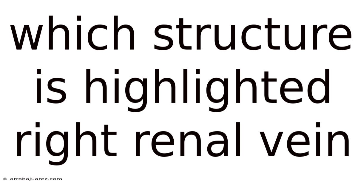 Which Structure Is Highlighted Right Renal Vein