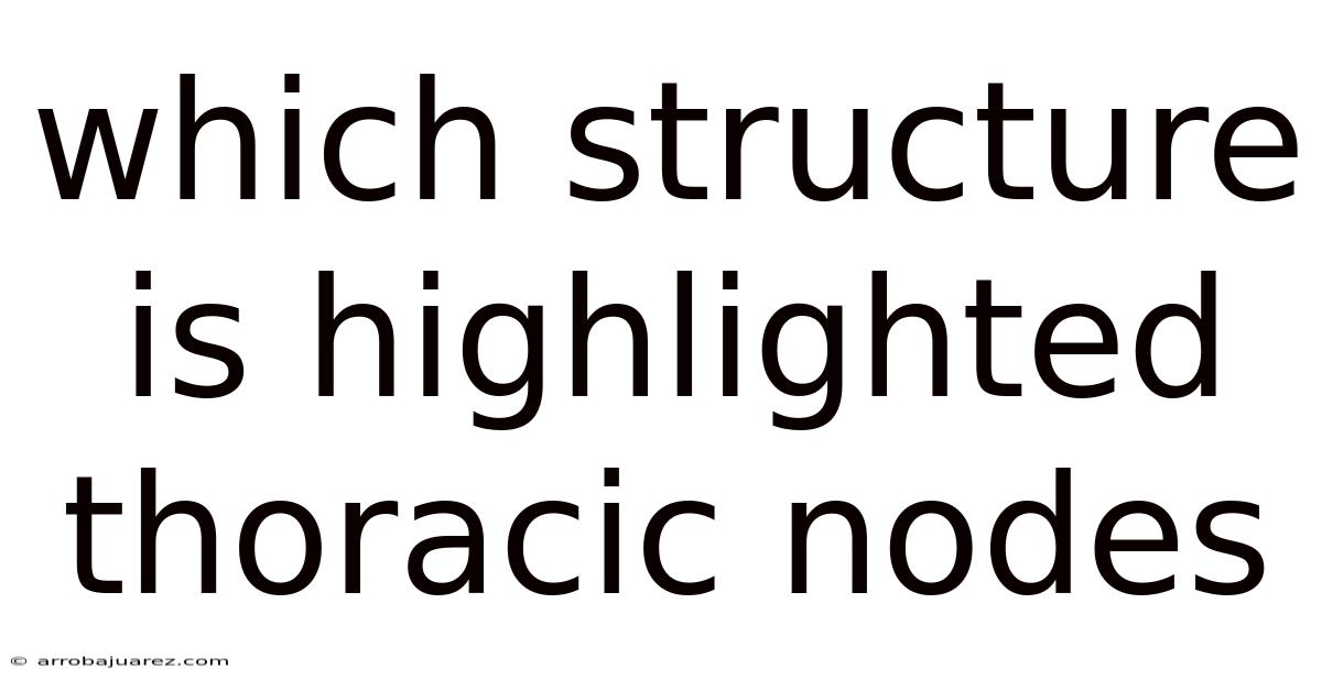 Which Structure Is Highlighted Thoracic Nodes