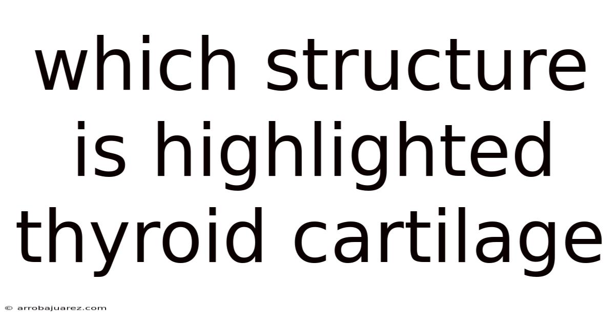 Which Structure Is Highlighted Thyroid Cartilage