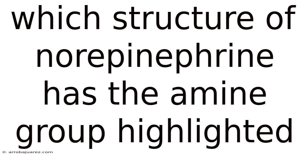 Which Structure Of Norepinephrine Has The Amine Group Highlighted