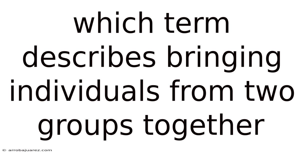 Which Term Describes Bringing Individuals From Two Groups Together