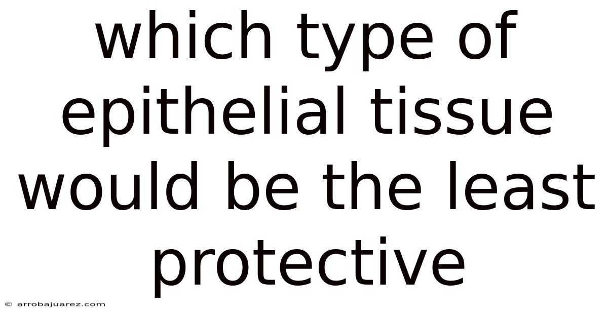Which Type Of Epithelial Tissue Would Be The Least Protective