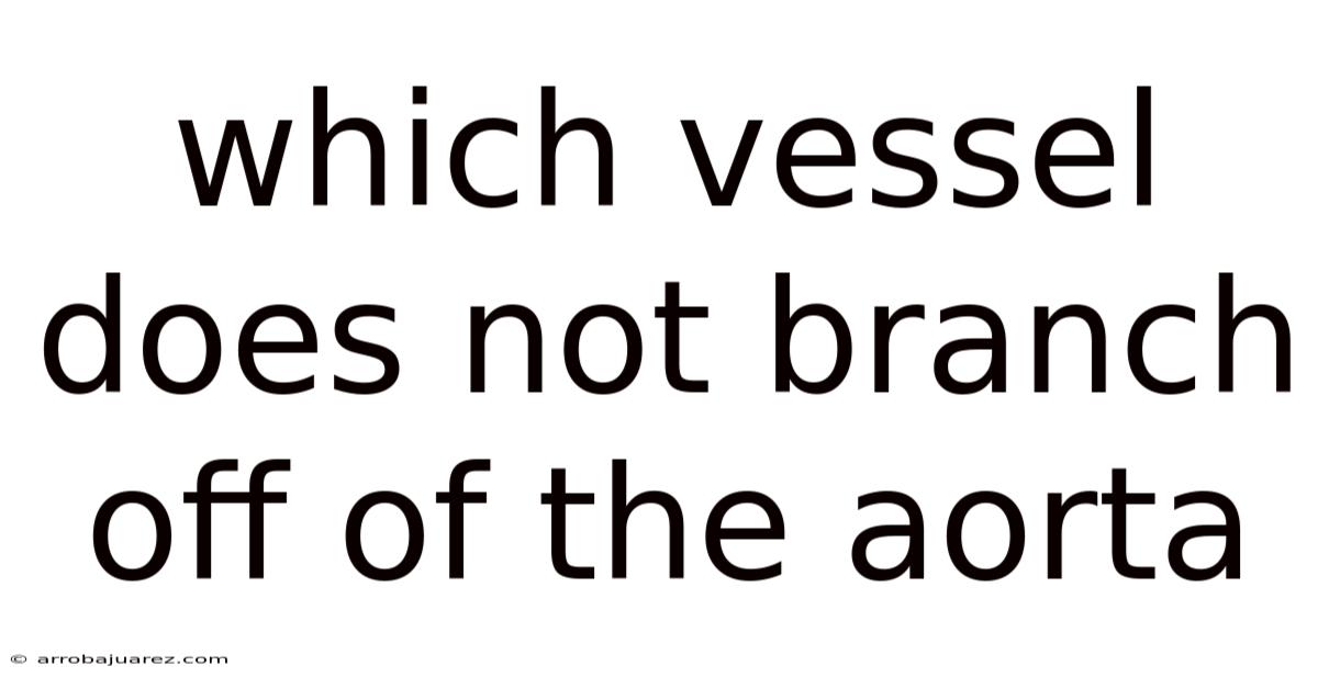 Which Vessel Does Not Branch Off Of The Aorta