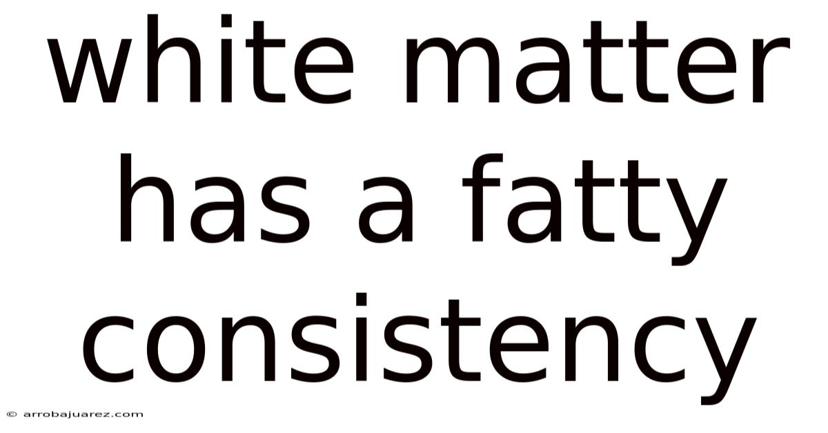 White Matter Has A Fatty Consistency