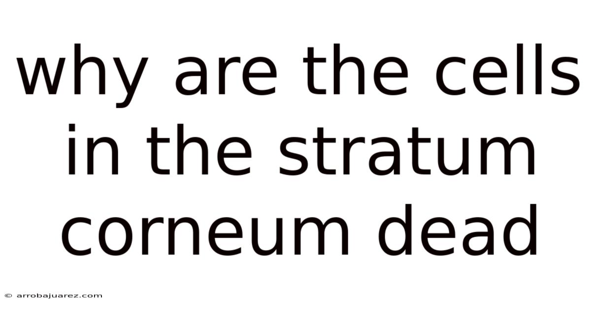 Why Are The Cells In The Stratum Corneum Dead