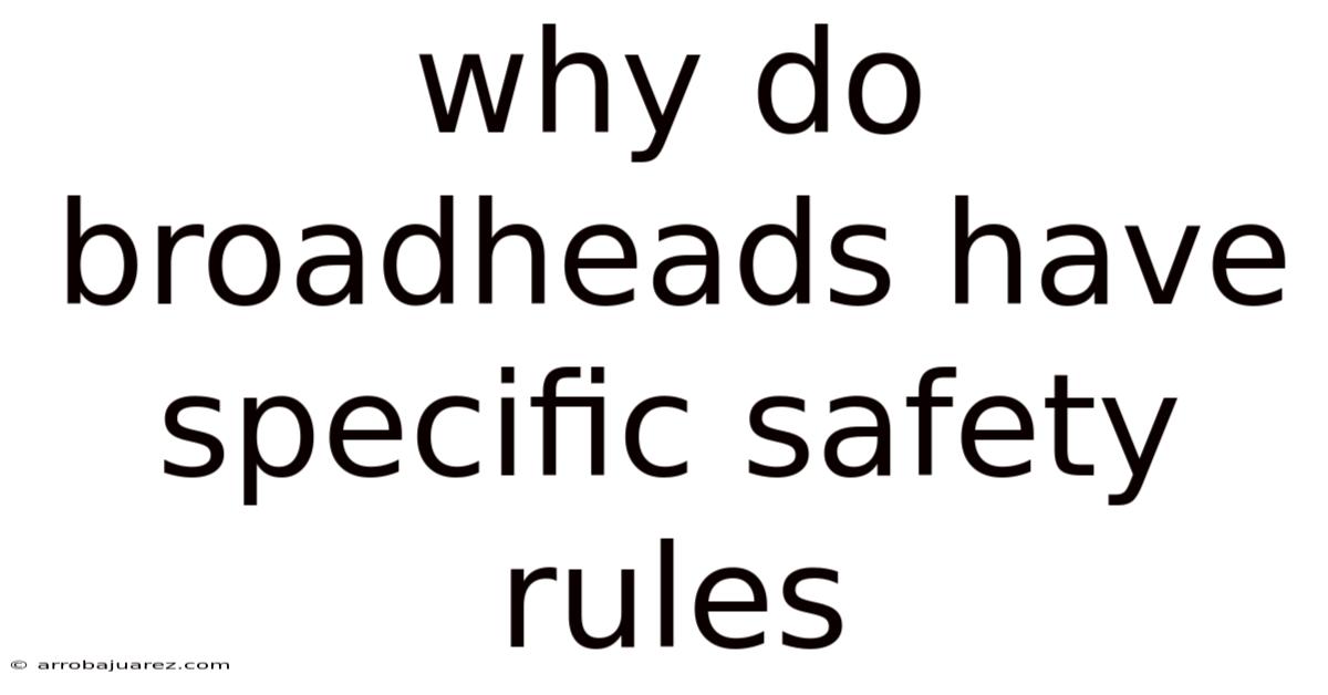 Why Do Broadheads Have Specific Safety Rules