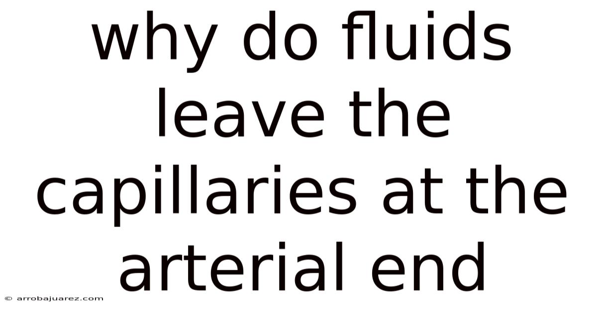 Why Do Fluids Leave The Capillaries At The Arterial End