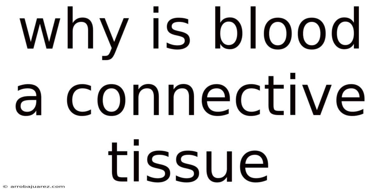 Why Is Blood A Connective Tissue