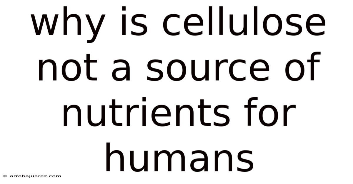 Why Is Cellulose Not A Source Of Nutrients For Humans