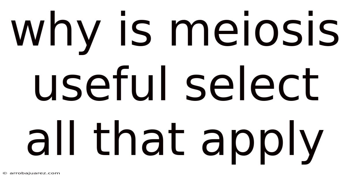 Why Is Meiosis Useful Select All That Apply