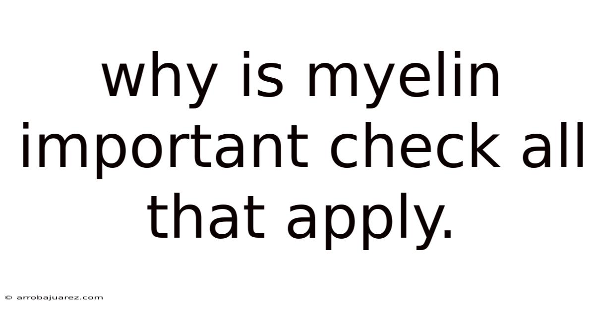 Why Is Myelin Important Check All That Apply.