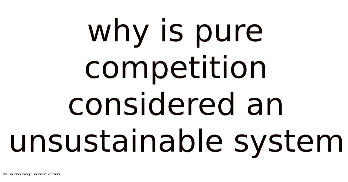 Why Is Pure Competition Considered An Unsustainable System