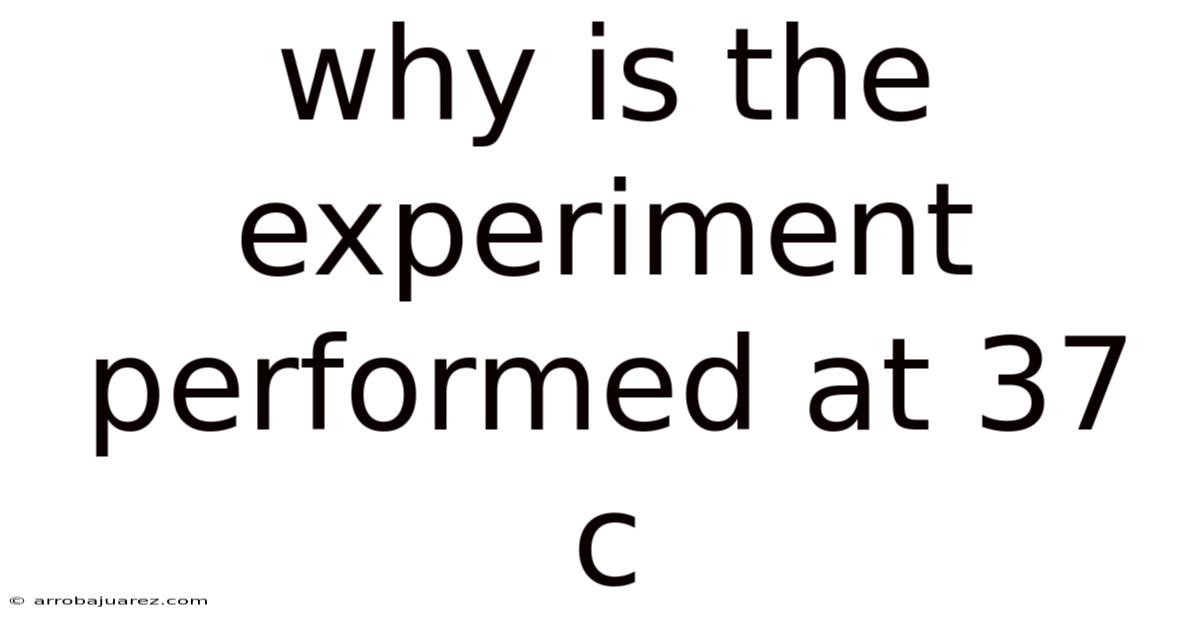 Why Is The Experiment Performed At 37 C