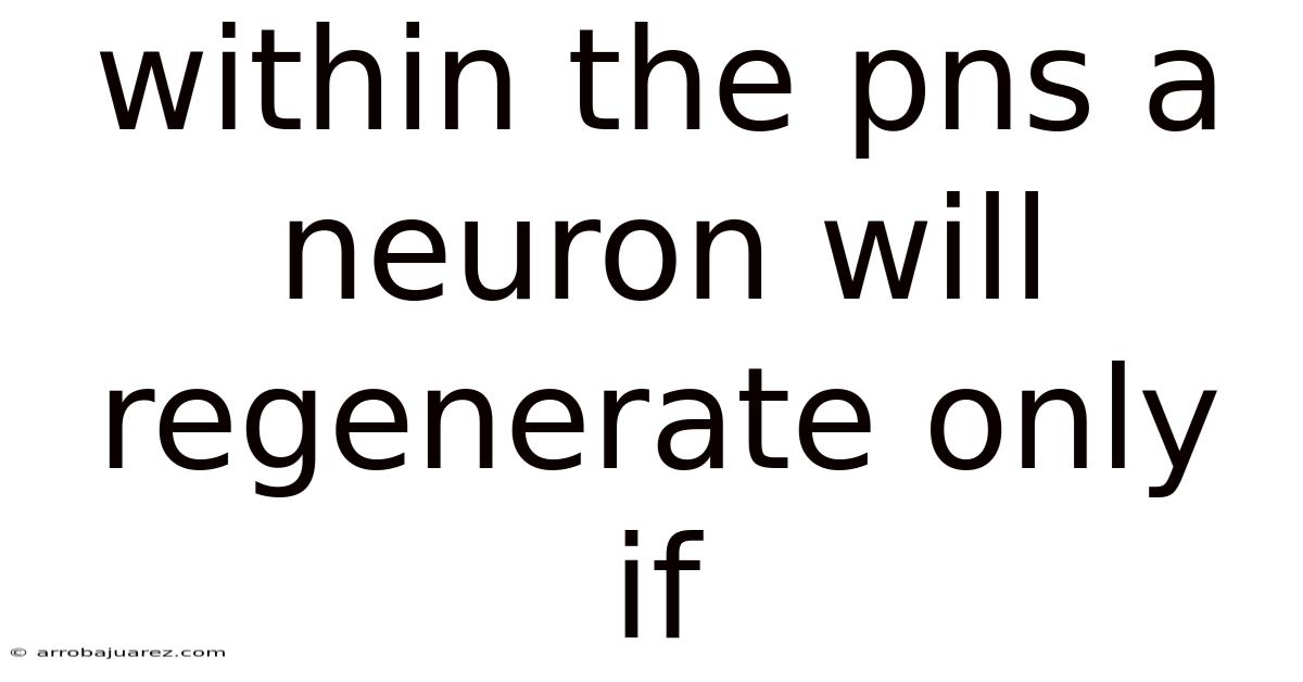 Within The Pns A Neuron Will Regenerate Only If