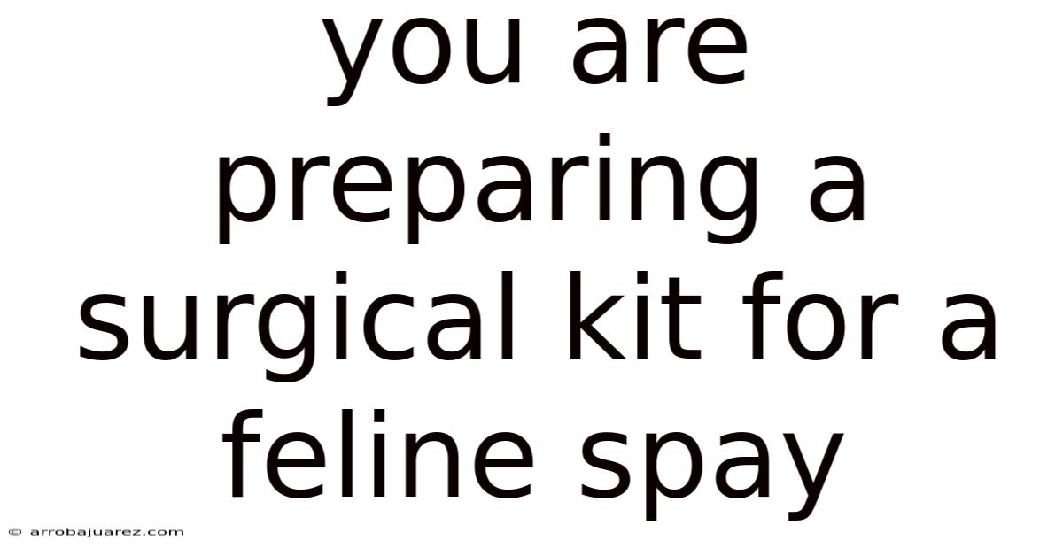 You Are Preparing A Surgical Kit For A Feline Spay