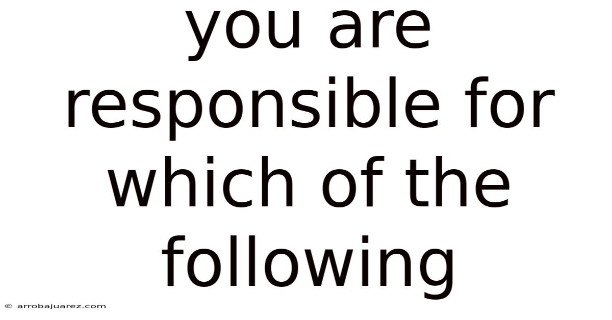 You Are Responsible For Which Of The Following
